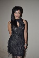 Pooja Kumar at Vishwaroop press meet in J W Marriott, Mumbai on 18th Dec 2012 (47).JPG